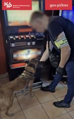 Funkcjonariusz nachylony do psa, w tle automaty do gier.